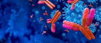 COVID antibodies